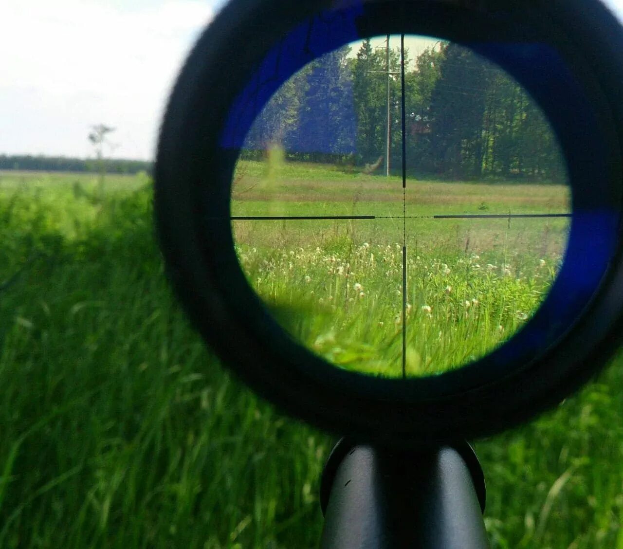 Прицел донк. Сетка милдот пилад 4х32. прицел пилад 4х32 сетка милдот. оптический прицел хорт охотник 1-8х25. сетки прицелов пилад.