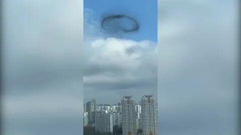 Строгино черное