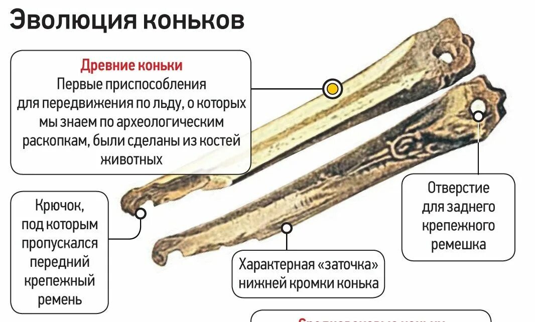 Мы видим в костяных коньках найденных археологами. История коньков. Первые костяные коньки. История появления коньков. Древние коньки.