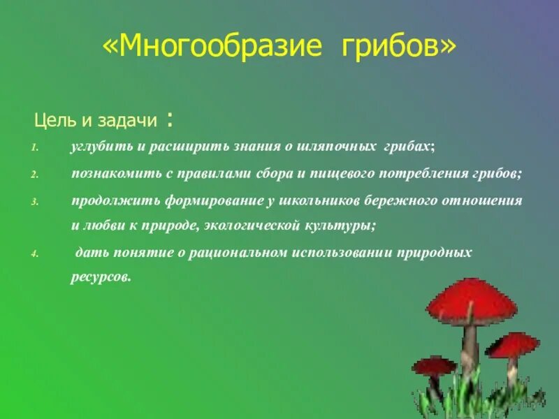 Девочка и задача про грибы. Разнообразие грибов. грибы цель и задачи. проект про грибы цель и задачи. задача про грибы.