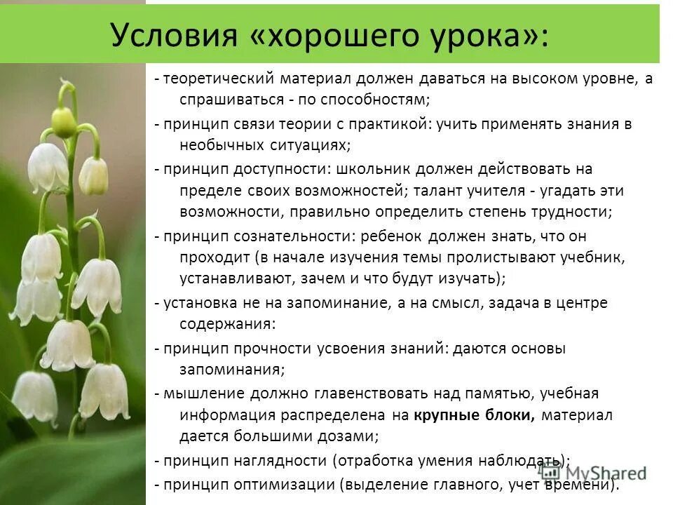 распределение учебного времени. какое время планового теоретического занятия должно отводиться. нормы контрольных работ. учебный план по физической культуре. какое время планового теоретического занятия должно отводиться.