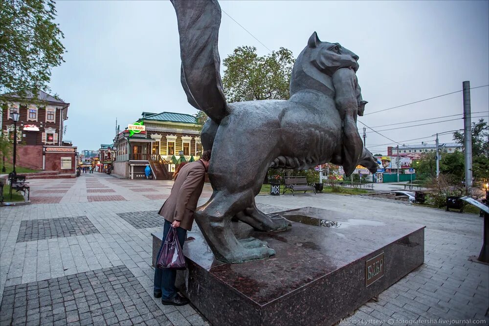 Весел иркутск. Памятник бабру в Иркутске. Иркутский Бабр памятник. Статуя Бабр Иркутск. Памятник бабру в Иркутске история.