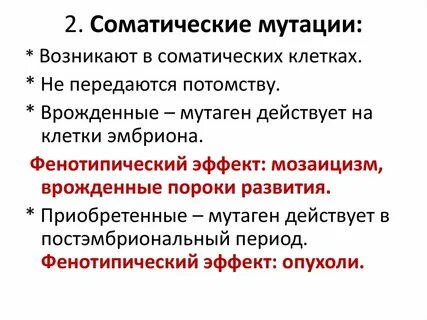 Генеративные мутации возникают