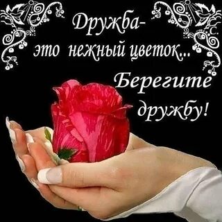 Вашу дружбу