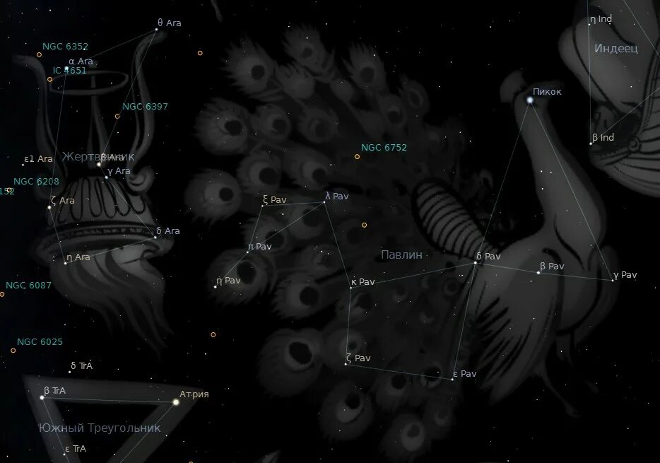 Регрессия падшего созвездия 103. Созвездие Павлин звезды. Созвездие Павлин Легенда. Созвездие жертвенник звезды. Созвездие Павлин схема.