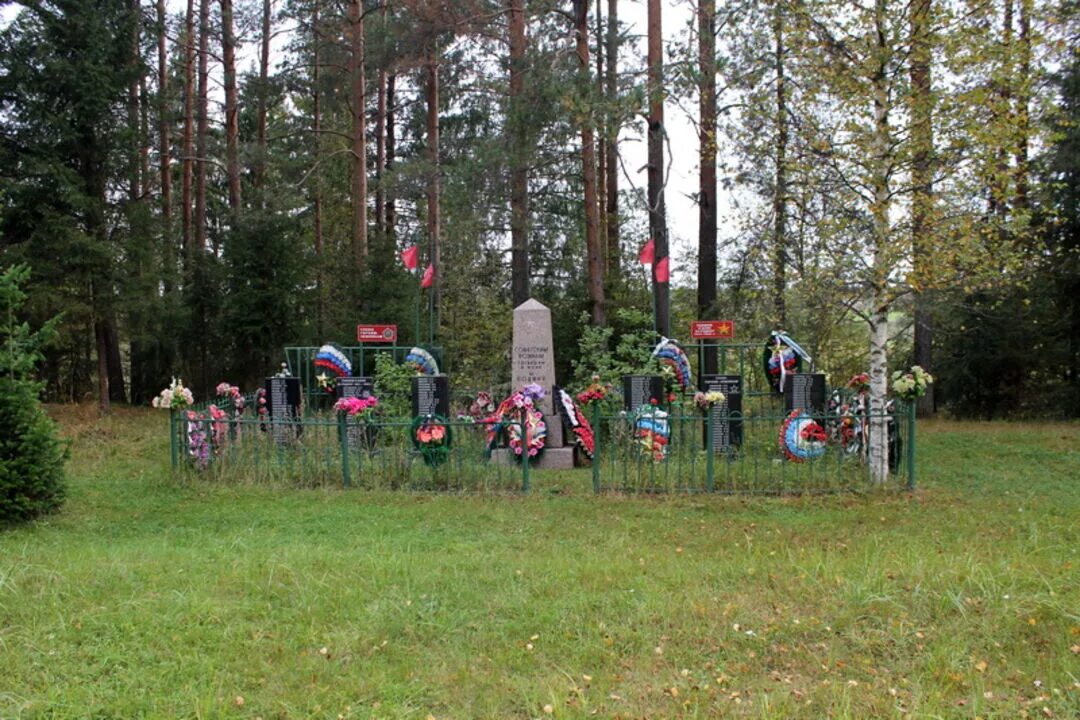 Деревня коськово тихвинский район. История деревни ганьково. Памятник в д. Ганьково тихвинский район. Погода ганьково тихвинский.