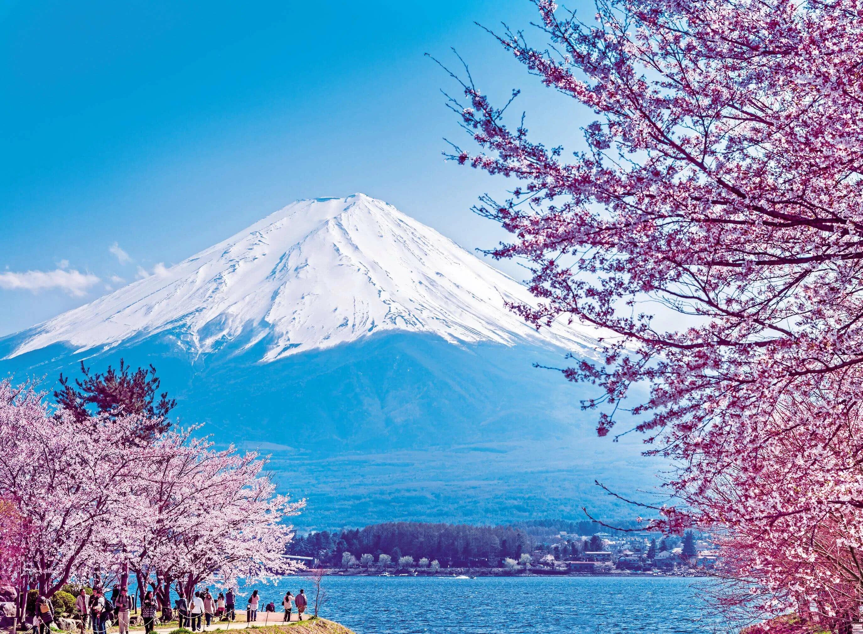 Гора Фудзияма в Японии. Япония гора Фудзияма и Сакура. Токио вулкан Фудзияма. Токио Сакура Фудзияма.