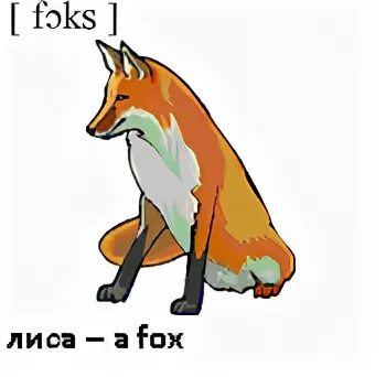 Fox word. Лиса на английском. Карточка лиса на английском. Карточки для изучения английского языка для детей лиса. Лиса с транскрипцией по английскому.