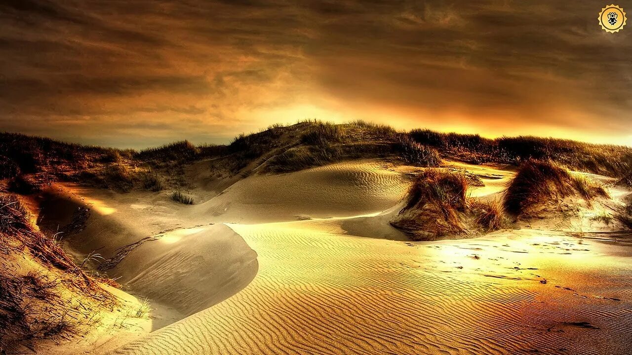 Пустынный пейзаж. Desert dreams. Фотовспышка пустыня. Desert dream. 2010 - desert dreams.