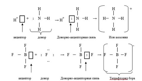 Механизм образования ковалентной связи nh3