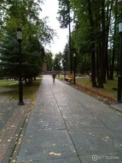 Обычный парк