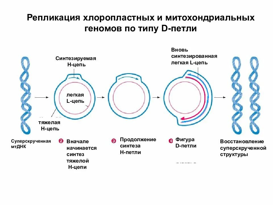 Проверка репликации