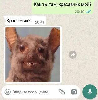 Похож прикол