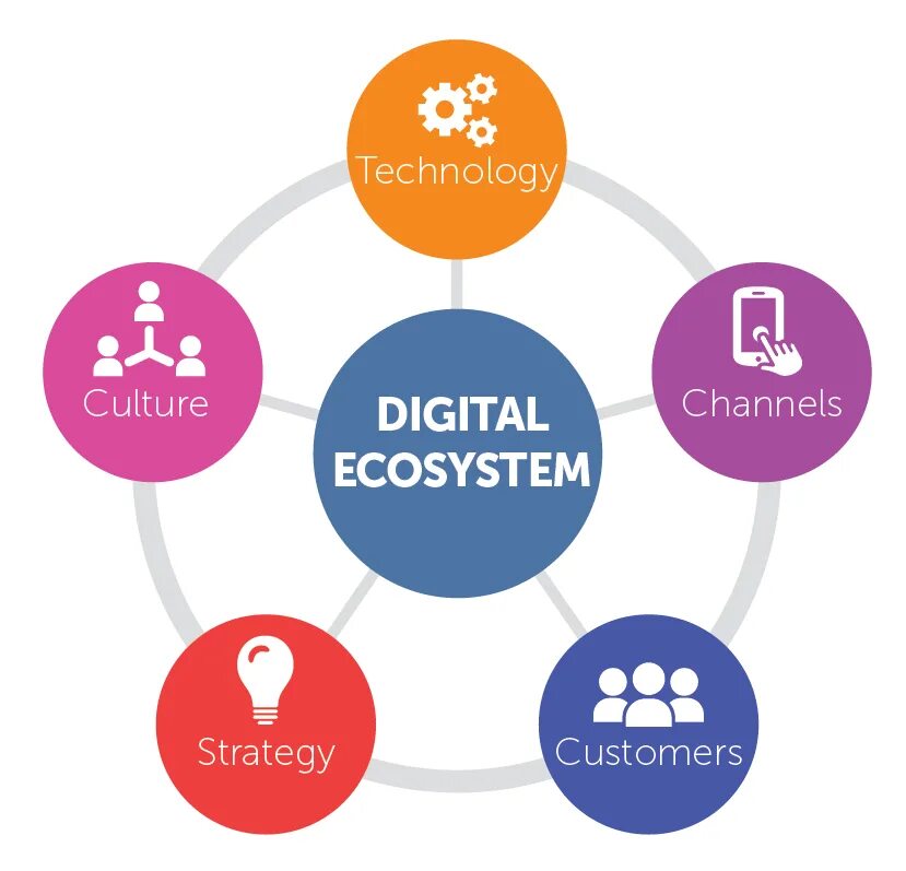 Цифровая экосистема. Маркетинг цифровых экосистем. Цифровые экосистемы иллюстрация. Экосистема цифровых сервисов.