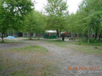 Хабаровск дельфин отдых