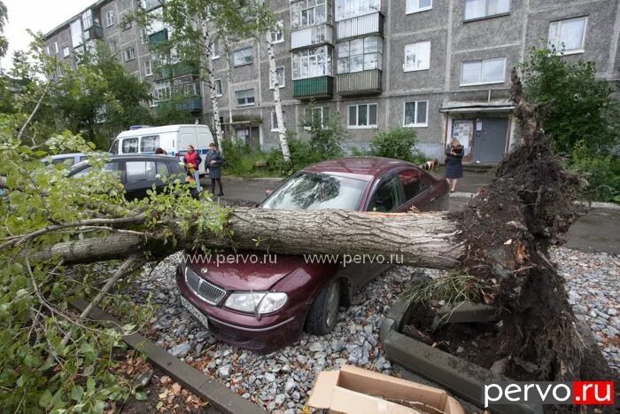 Гражданин сидоров припарковал свой автомобиль на детской. Упало дерево на придомовой территории. Обрушение дерева на придомовой территории на машину. Деревья Первоуральска. Гроза во дворе.
