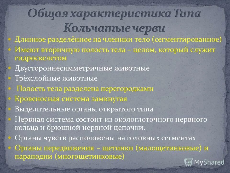 характеристика типа кольчатые. характеристика типа кольчатые черви. характеристика типа кольчатые. характеристика типа кольчатые черви. кольчатые черви представители 7 класс.