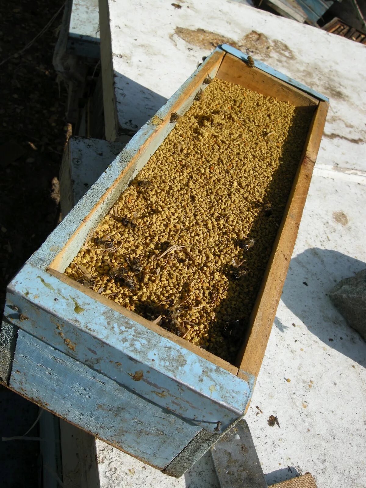 Ульи лысонь пасека. Собирают пыльцу пыльцеуловитель. Пыльцеуловитель для пчел. Пасека пыльцесборники. Сбор перги.