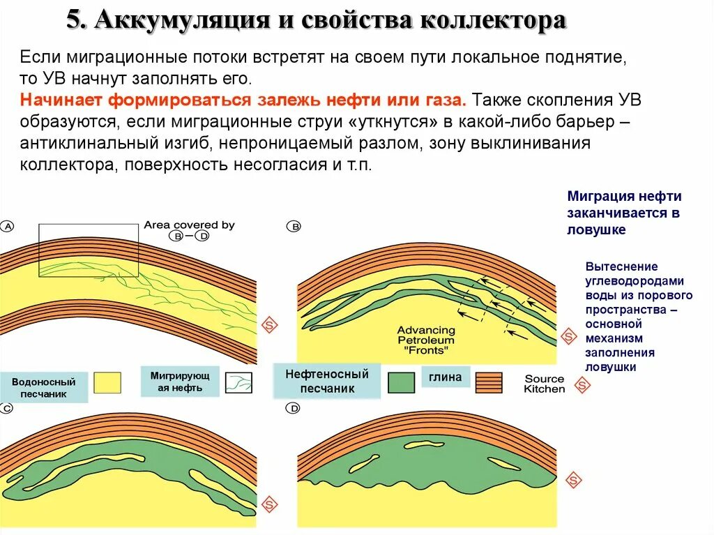 Что такое аккумуляция. Аккумуляция углеводородов. рукавообразная залежь нефти. разрушение залежей нефти. факторы разрушения залежей нефти и газа.