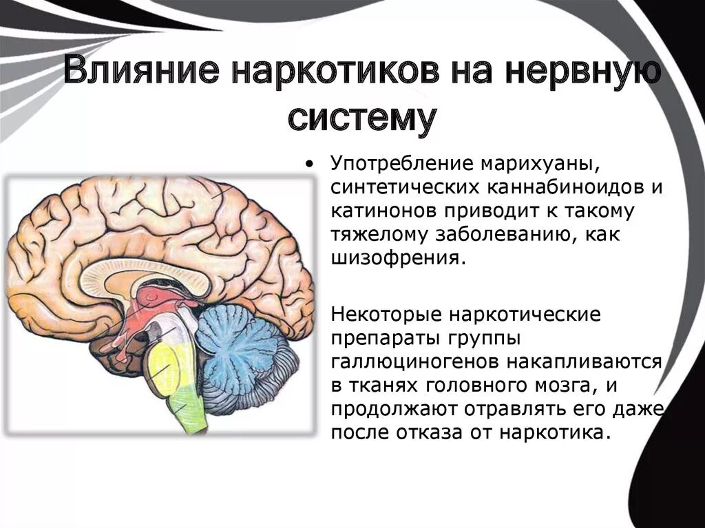 Администрация Дмитриевского сельского поселения Заволжского муниципального район