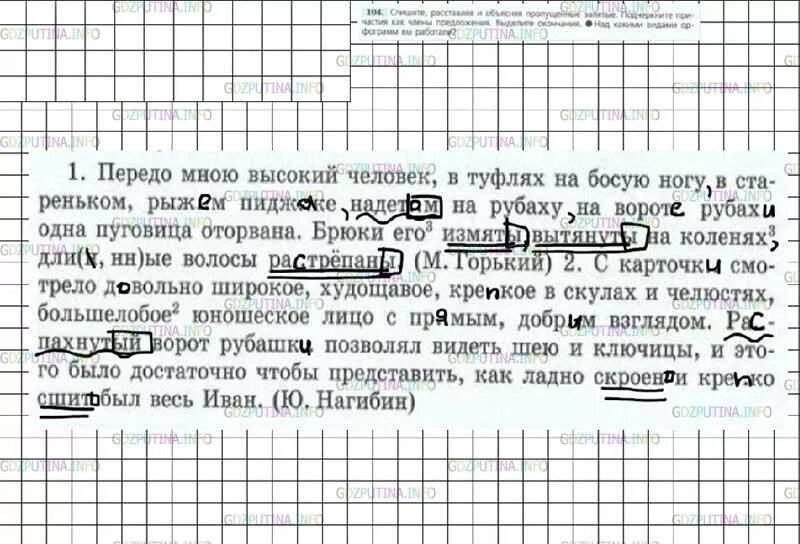 Русский язык 7 класс ладыженская упр 364. Передо мною высокий человек в туфлях. Передо мною высокий человек.