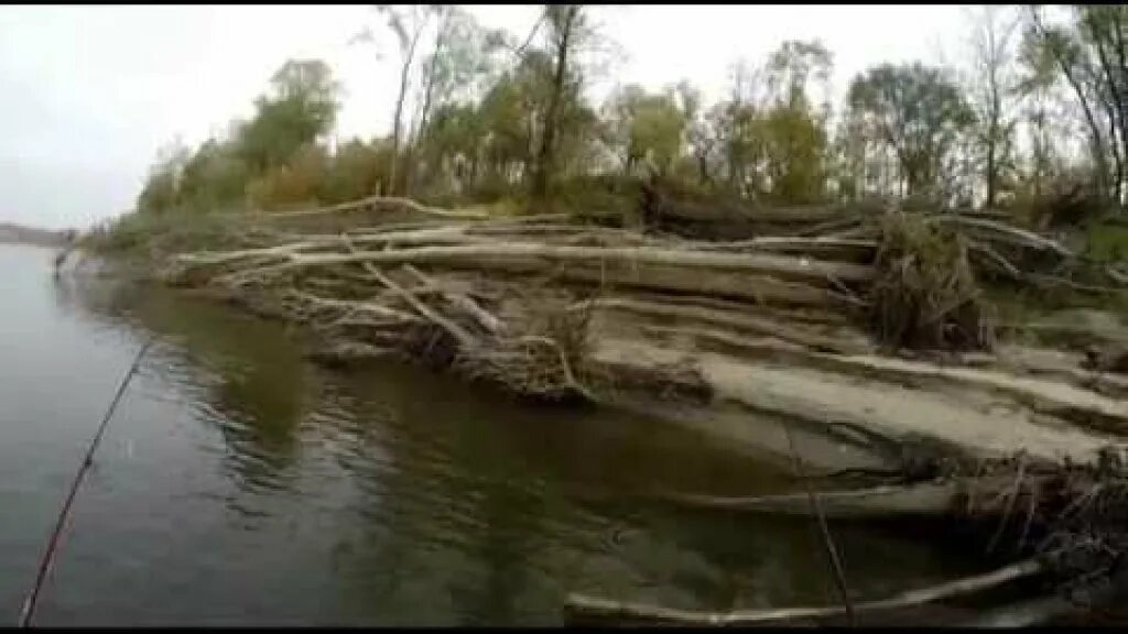 Обь уровень воды молчаново сегодня. Озеро большой Нарык. Озеро большой Нарык Тюмень. Река Чулым Томская область рыбалка. Рыбалка в Коломино Томской области.