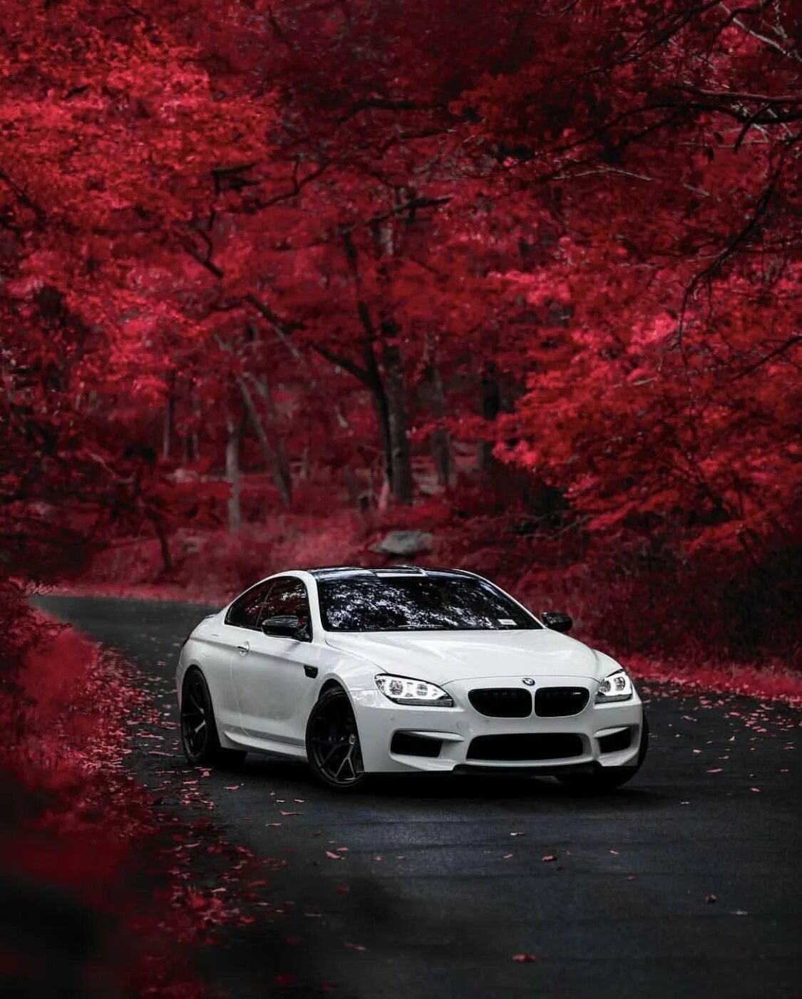 BMW m6. BMW m5 неон. БМВ м5. BMW m3 белая. Красная машина телефон