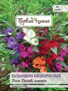 Бальзамин том тамб отзывы