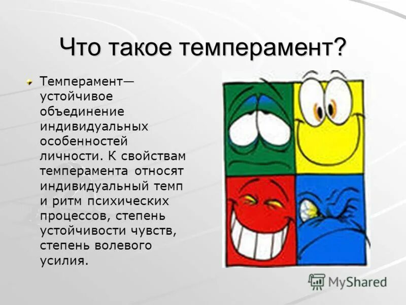 Темперамент сангвиник. Темперамент роль в личности. Темперамент роль в личности. Тип темперамента и профессия. Темперамент роль в личности.
