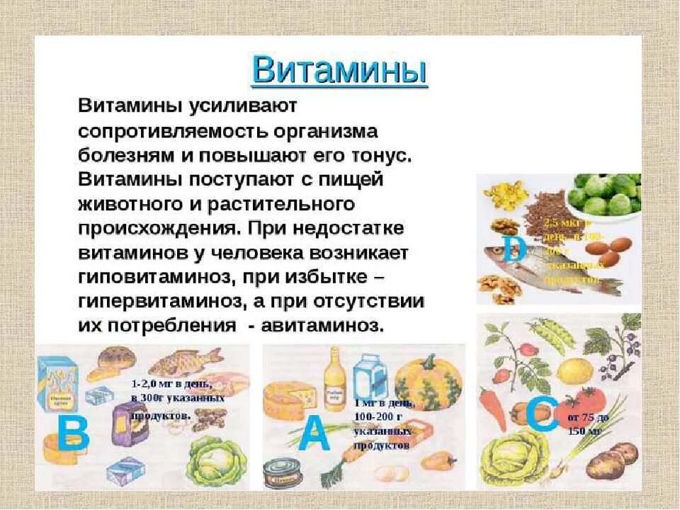 Витамин для нормального функционирования нервной системы. Сообщение о витаминах. тема витамины. презентация по теме витамины. краткая информация о витаминах.