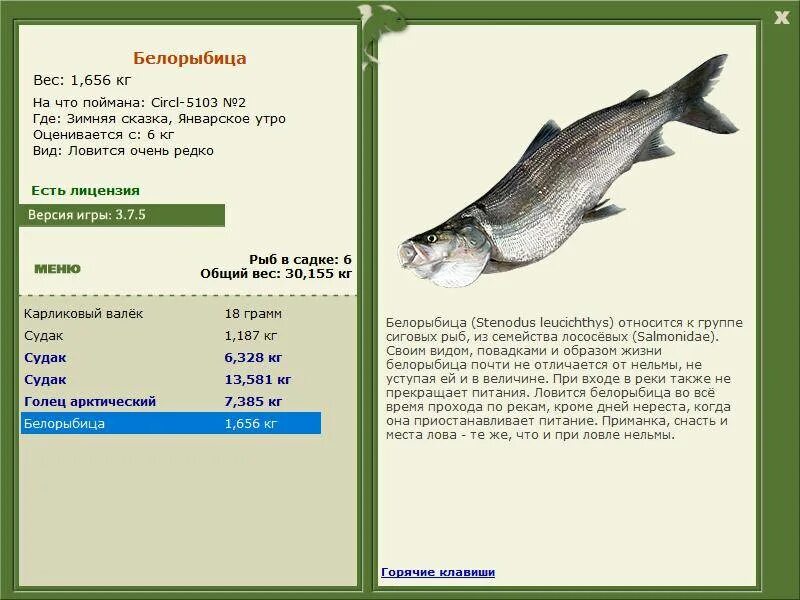Продать белорыбицу