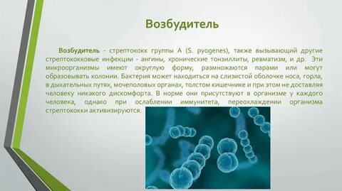Возбудитель это