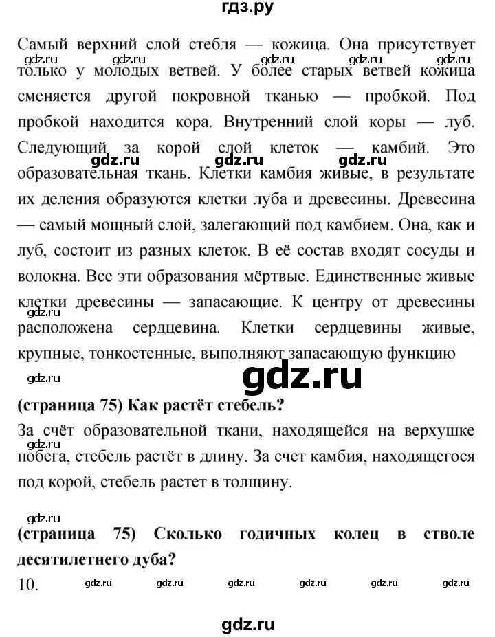 Биология 8 класс 28 параграф. Биология параграф 28. Биология 6 класс параграф 28. Пересказ биологии 5 класс 7 параграф Сухорукова. Учебник 5 класс Автор Сухоруков параграф 13.