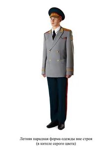 Форма нового образца 2024