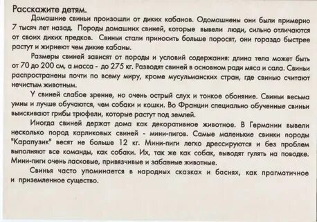 Выводить гулять
