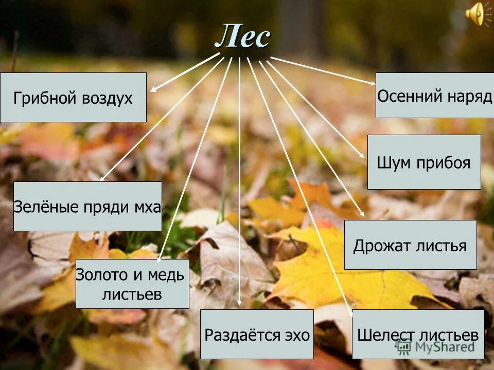 прозрачный осенний воздух тип предложения