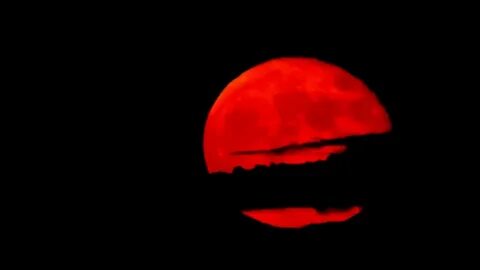Red moons rise