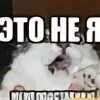 Это не я
