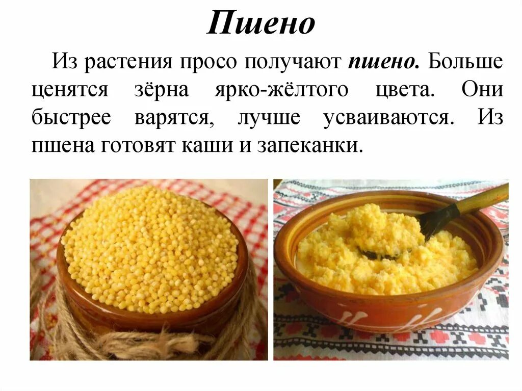 Каша пшенная на воде рецепт с пошаговым. Приготовление пшенной каши. Как делать пшенную кашу. Блюда из пшенной каши. Как варить пшено.