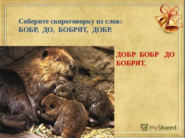 Бобр добр для бобрят. Скороговорка бобры. Бобр добр для бобрят скороговорка. Бобры добры для своих бобрят скороговорка.