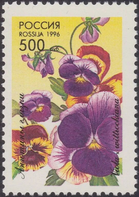 Марки 1996 года россия. Почтовые марки цветы. Анютины глазки международные почтовые марки. Почтовые марки сиреневые. Орхидеи на почтовых марках.
