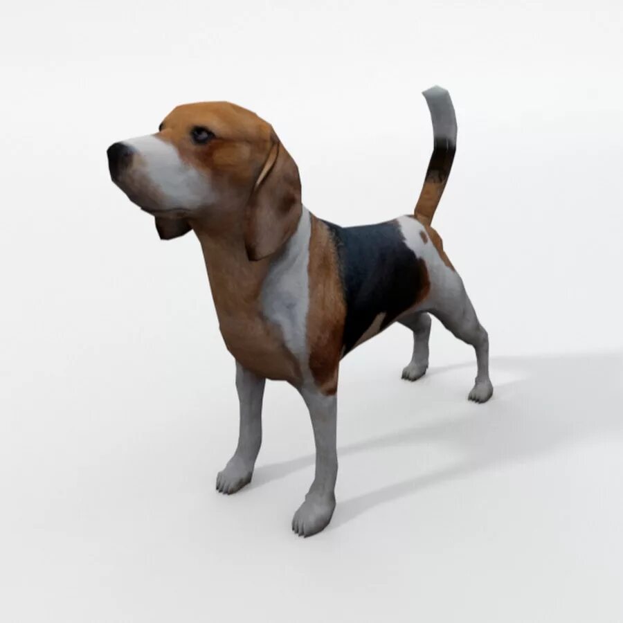 Бигль 3д. Бигль 3/4. Моделька собаки. Собака модель.