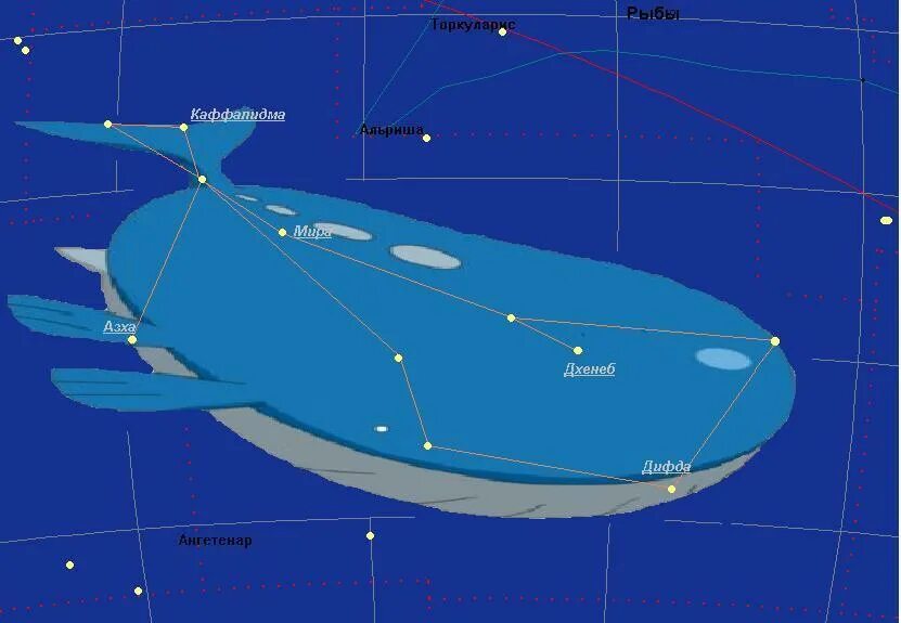 В далеком созвездии кита. Созвездие Тау кита. Звезды Тау кита и Эпсилон эридана. Тау кита звезда.