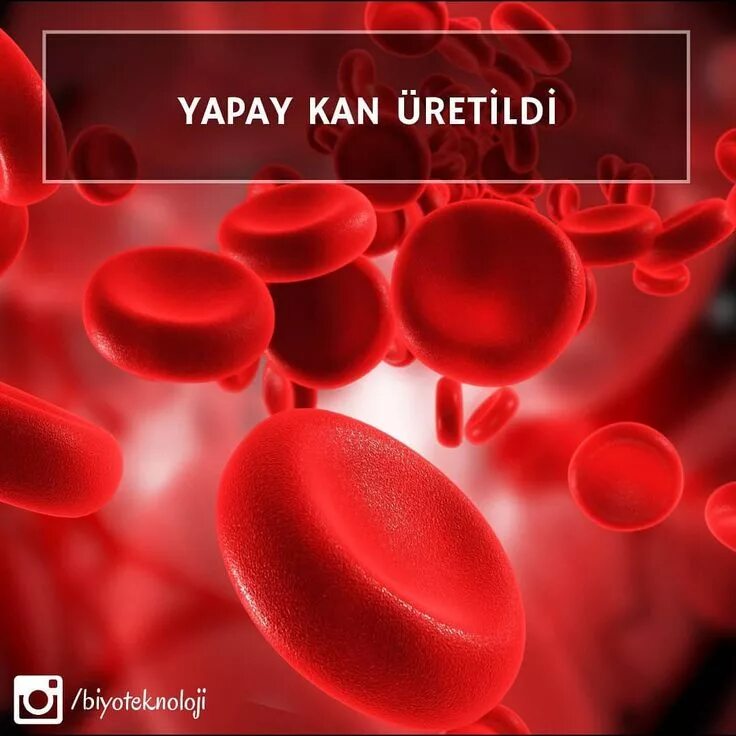 Пакет с кровью для переливания. Kan de. Кровь анемия пробирка. Кровь в пробирке. Пробирка с кровью на белом фоне.