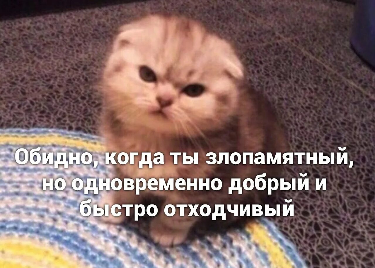 Недовольный ребенок. Я много злюсь. Я много злюсь. Гнев картинки. Я много злюсь.