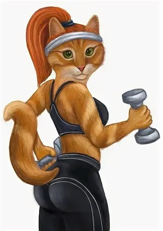 Спортивная кошка. Кошка фитнес. Спортивная кошечка фитнес. Спортивные котята.