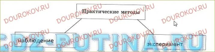 Методы изучения биологии 5 класс контрольная работа. Методы исследования в биологии 5 класс пасечник. схема методы изучения биологии 5 класс. метод наблюдения в биологии 5 класс.