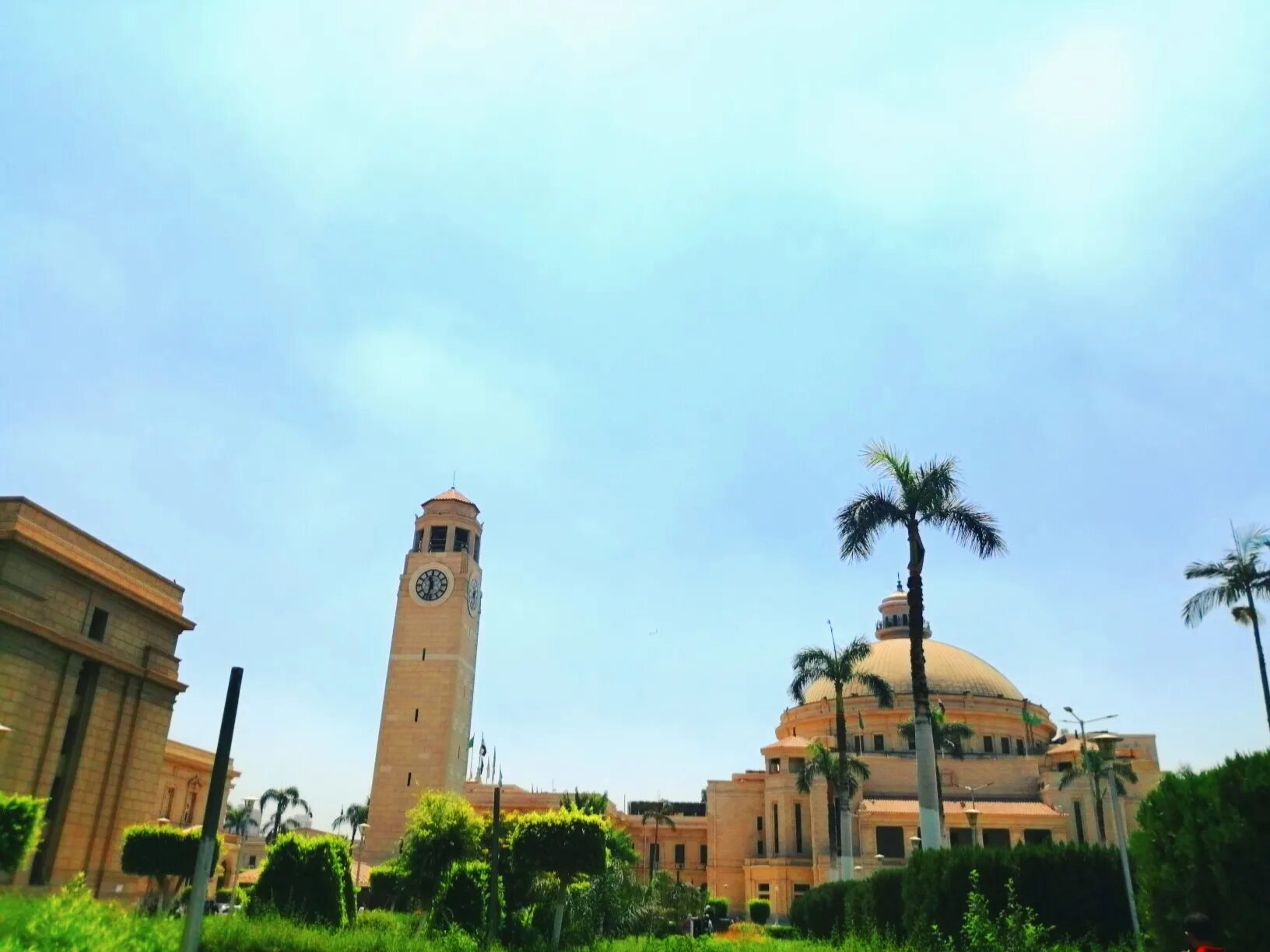 Cairo university