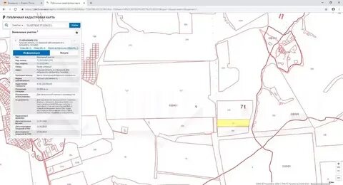 Кадастровая карта публичная тульская область