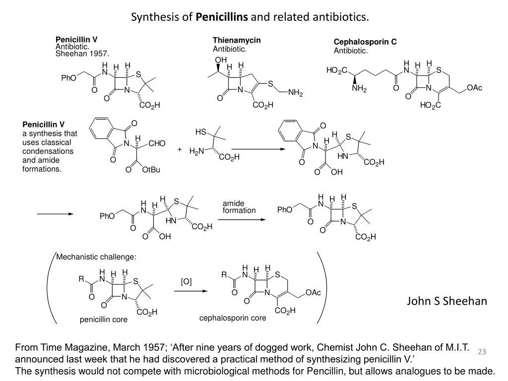 Синтез пенициллина. Схема синтеза пенициллина. Феноксиметилпенициллин Синтез. Synthesis. Пенициллин схема.